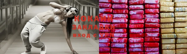 шишки Аркадак