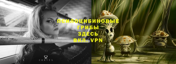 прущая мука Арсеньев