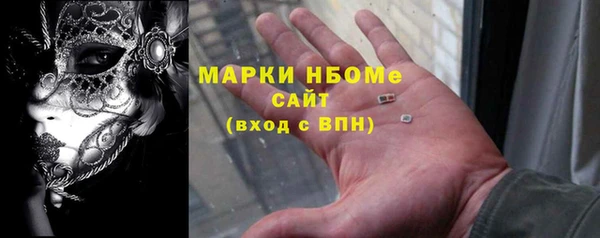 шишки Аркадак