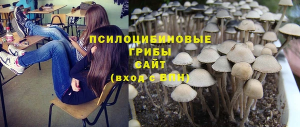 шишки Аркадак