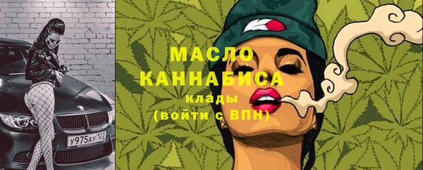 индика Снежногорск