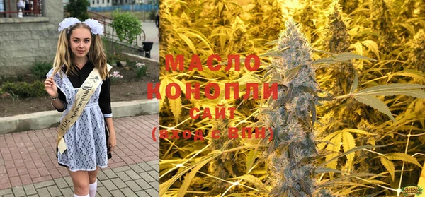 индика Снежногорск