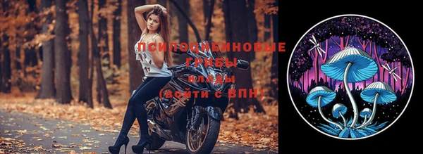 прущая мука Арсеньев